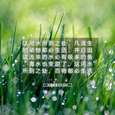 Picture 05 - 以 西 结 书 47:9 CUVS - 这 河 水 所 到 之 处 ， 凡 滋 生 的 - Bible Verse Picture