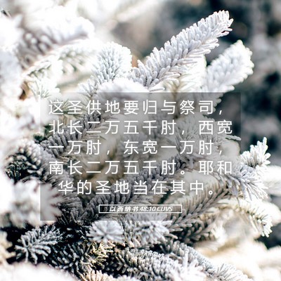 Picture 05 - 以 西 结 书 48:10 CUVS - 这 圣 供 地 要 归 与 祭 司 ， 北 长 - Bible Verse Picture