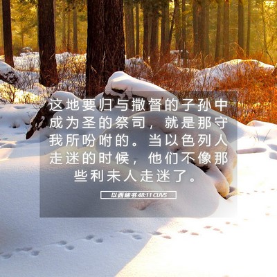 Picture 05 - 以 西 结 书 48:11 CUVS - 这 地 要 归 与 撒 督 的 子 孙 中 成 - Bible Verse Picture
