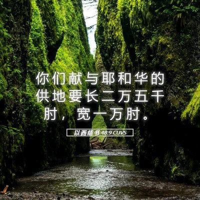 Picture 05 - 以 西 结 书 48:9 CUVS - 你 们 献 与 耶 和 华 的 供 地 要 长 - Bible Verse Picture
