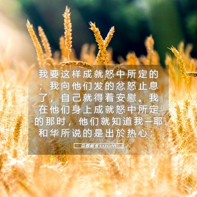 Picture 05 - 以 西 结 书 5:13 CUVS - 我 要 这 样 成 就 怒 中 所 定 的 ； - Bible Verse Picture