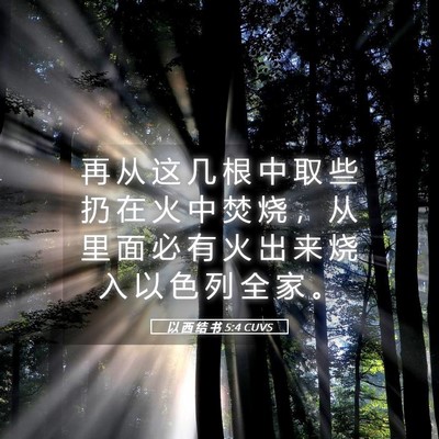 Picture 05 - 以 西 结 书 5:4 CUVS - 再 从 这 几 根 中 取 些 扔 在 火 中 - Bible Verse Picture