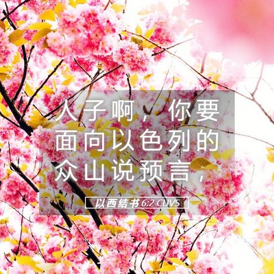 Picture 05 - 以 西 结 书 6:2 CUVS - 人 子 啊 ， 你 要 面 向 以 色 列 的 - Bible Verse Picture