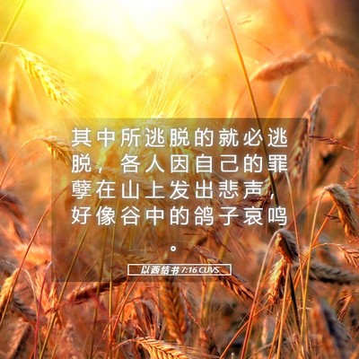 Picture 05 - 以 西 结 书 7:16 CUVS - 其 中 所 逃 脱 的 就 必 逃 脱 ， 各 - Bible Verse Picture