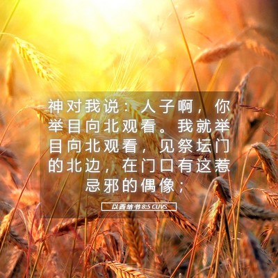 Picture 05 - 以 西 结 书 8:5 CUVS - 神 对 我 说 ： 人 子 啊 ， 你 举 目 - Bible Verse Picture