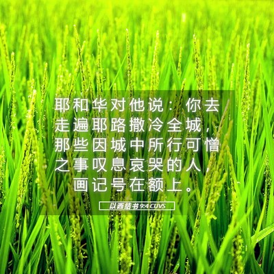 Picture 05 - 以 西 结 书 9:4 CUVS - 耶 和 华 对 他 说 ： 你 去 走 遍 耶 - Bible Verse Picture
