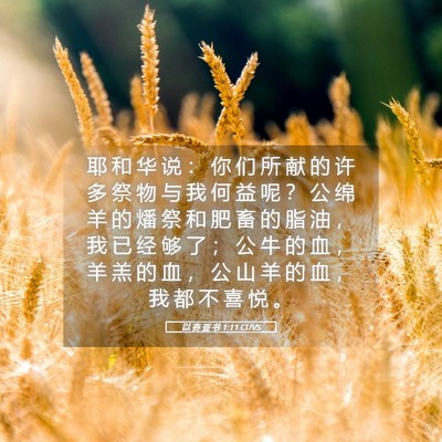 Picture 05 - 以 赛 亚 书 1:11 CUVS - 耶 和 华 说 ： 你 们 所 献 的 许 多 - Bible Verse Picture