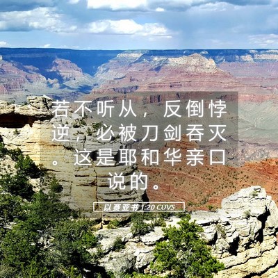 Picture 05 - 以 赛 亚 书 1:20 CUVS - 若 不 听 从 ， 反 倒 悖 逆 ， 必 被 - Bible Verse Picture