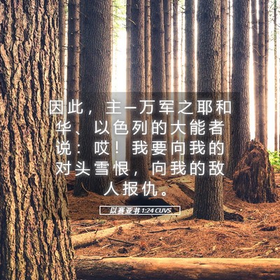 Picture 05 - 以 赛 亚 书 1:24 CUVS - 因 此 ， 主 ─ 万 军 之 耶 和 华 、 - Bible Verse Picture