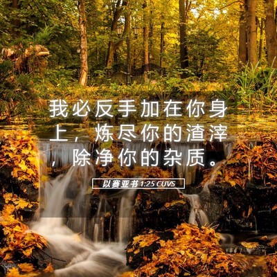 Picture 05 - 以 赛 亚 书 1:25 CUVS - 我 必 反 手 加 在 你 身 上 ， 炼 尽 - Bible Verse Picture