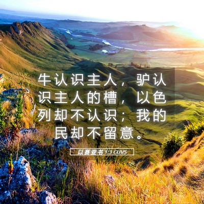 Picture 05 - 以 赛 亚 书 1:3 CUVS - 牛 认 识 主 人 ， 驴 认 识 主 人 的 - Bible Verse Picture