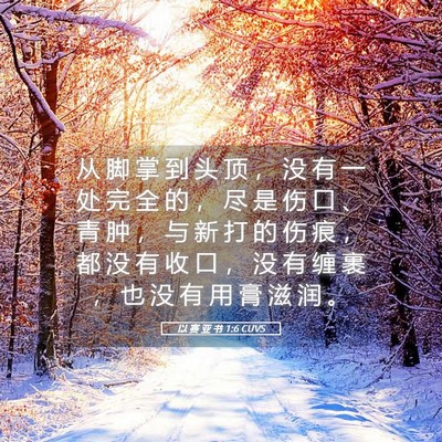 Picture 05 - 以 赛 亚 书 1:6 CUVS - 从 脚 掌 到 头 顶 ， 没 有 一 处 完 - Bible Verse Picture