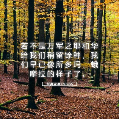 Picture 05 - 以 赛 亚 书 1:9 CUVS - 若 不 是 万 军 之 耶 和 华 给 我 们 - Bible Verse Picture