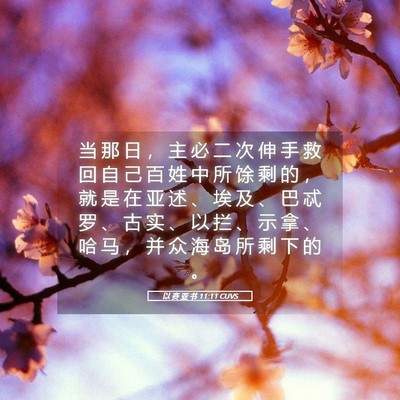 Picture 05 - 以 赛 亚 书 11:11 CUVS - 当 那 日 ， 主 必 二 次 伸 手 救 回 - Bible Verse Picture