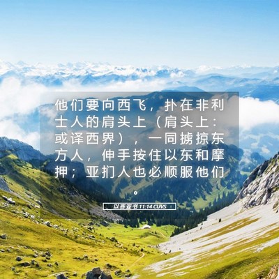 Picture 05 - 以 赛 亚 书 11:14 CUVS - 他 们 要 向 西 飞 ， 扑 在 非 利 士 - Bible Verse Picture
