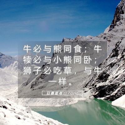 Picture 05 - 以 赛 亚 书 11:7 CUVS - 牛 必 与 熊 同 食 ； 牛 犊 必 与 小 - Bible Verse Picture