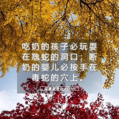 Picture 05 - 以 赛 亚 书 11:8 CUVS - 吃 奶 的 孩 子 必 玩 耍 在 虺 蛇 的 - Bible Verse Picture