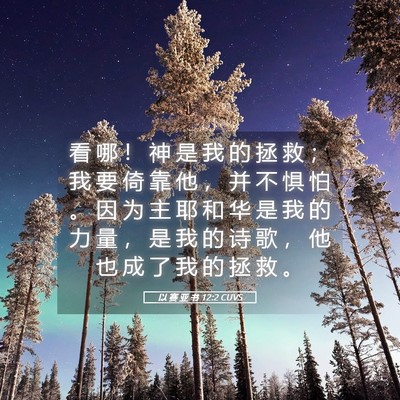 Picture 05 - 以 赛 亚 书 12:2 CUVS - 看 哪 ！ 神 是 我 的 拯 救 ； 我 要 - Bible Verse Picture