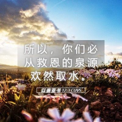 Picture 05 - 以 赛 亚 书 12:3 CUVS - 所 以 ， 你 们 必 从 救 恩 的 泉 源 - Bible Verse Picture