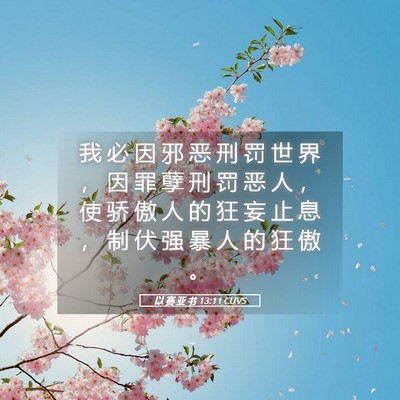 Picture 05 - 以 赛 亚 书 13:11 CUVS - 我 必 因 邪 恶 刑 罚 世 界 ， 因 罪 - Bible Verse Picture