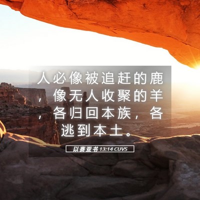 Picture 05 - 以 赛 亚 书 13:14 CUVS - 人 必 像 被 追 赶 的 鹿 ， 像 无 人 - Bible Verse Picture