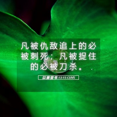 Picture 05 - 以 赛 亚 书 13:15 CUVS - 凡 被 仇 敌 追 上 的 必 被 刺 死 ； - Bible Verse Picture