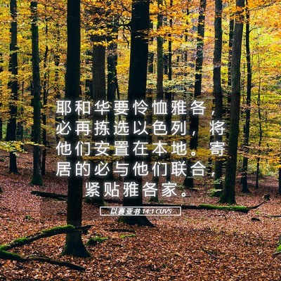 Picture 05 - 以 赛 亚 书 14:1 CUVS - 耶 和 华 要 怜 恤 雅 各 ， 必 再 拣 - Bible Verse Picture