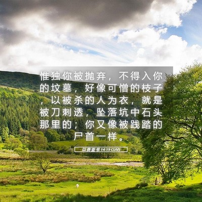 Picture 05 - 以 赛 亚 书 14:19 CUVS - 惟 独 你 被 抛 弃 ， 不 得 入 你 的 - Bible Verse Picture
