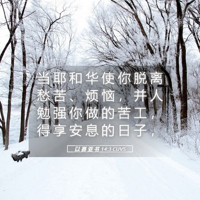 Picture 05 - 以 赛 亚 书 14:3 CUVS - 当 耶 和 华 使 你 脱 离 愁 苦 、 烦 - Bible Verse Picture