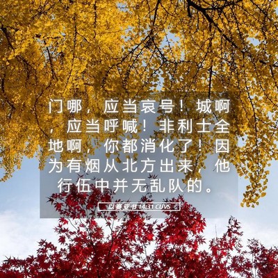 Picture 05 - 以 赛 亚 书 14:31 CUVS - 门 哪 ， 应 当 哀 号 ！ 城 啊 ， 应 - Bible Verse Picture