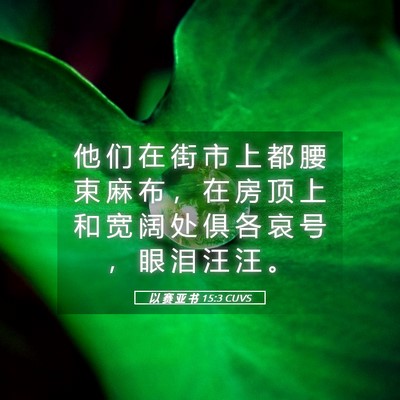 Picture 05 - 以 赛 亚 书 15:3 CUVS - 他 们 在 街 市 上 都 腰 束 麻 布 ， - Bible Verse Picture