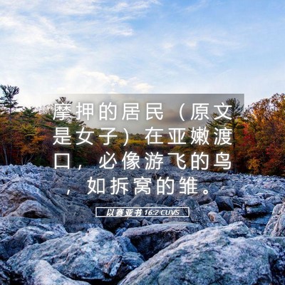 Picture 05 - 以 赛 亚 书 16:2 CUVS - 摩 押 的 居 民 （ 原 文 是 女 子 ） - Bible Verse Picture