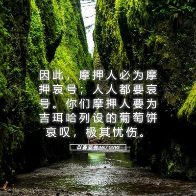 Picture 05 - 以 赛 亚 书 16:7 CUVS - 因 此 ， 摩 押 人 必 为 摩 押 哀 号 - Bible Verse Picture