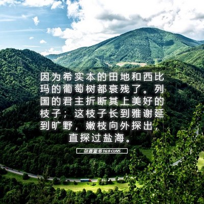 Picture 05 - 以 赛 亚 书 16:8 CUVS - 因 为 希 实 本 的 田 地 和 西 比 玛 - Bible Verse Picture