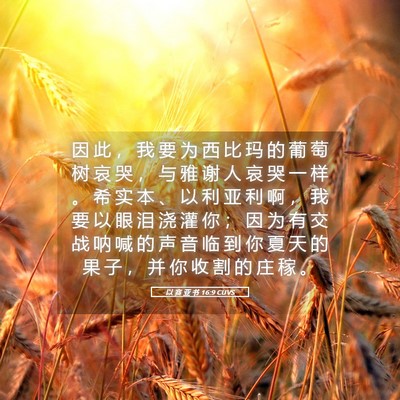 Picture 05 - 以 赛 亚 书 16:9 CUVS - 因 此 ， 我 要 为 西 比 玛 的 葡 萄 - Bible Verse Picture