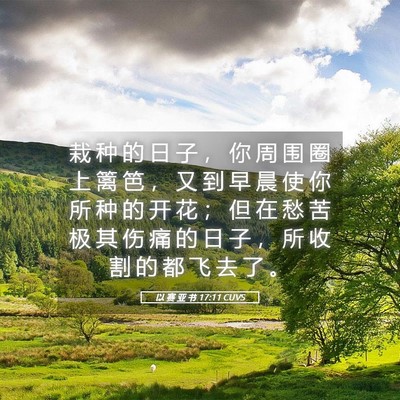 Picture 05 - 以 赛 亚 书 17:11 CUVS - 栽 种 的 日 子 ， 你 周 围 圈 上 篱 - Bible Verse Picture