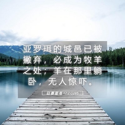 Picture 05 - 以 赛 亚 书 17:2 CUVS - 亚 罗 珥 的 城 邑 已 被 撇 弃 ， 必 - Bible Verse Picture
