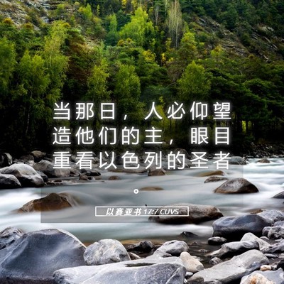 Picture 05 - 以 赛 亚 书 17:7 CUVS - 当 那 日 ， 人 必 仰 望 造 他 们 的 - Bible Verse Picture