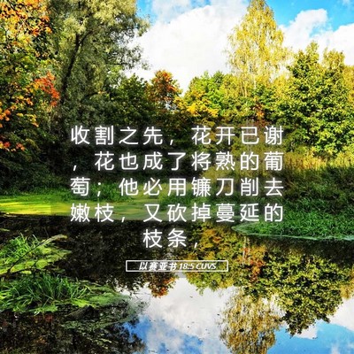 Picture 05 - 以 赛 亚 书 18:5 CUVS - 收 割 之 先 ， 花 开 已 谢 ， 花 也 - Bible Verse Picture