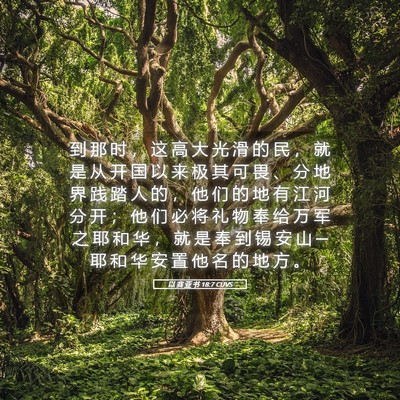 Picture 05 - 以 赛 亚 书 18:7 CUVS - 到 那 时 ， 这 高 大 光 滑 的 民 ， - Bible Verse Picture