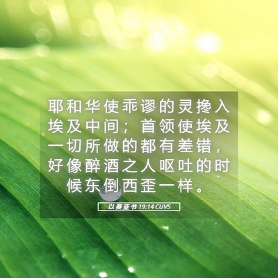 Picture 05 - 以 赛 亚 书 19:14 CUVS - 耶 和 华 使 乖 谬 的 灵 搀 入 埃 及 - Bible Verse Picture
