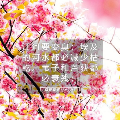 Picture 05 - 以 赛 亚 书 19:6 CUVS - 江 河 要 变 臭 ； 埃 及 的 河 水 都 - Bible Verse Picture