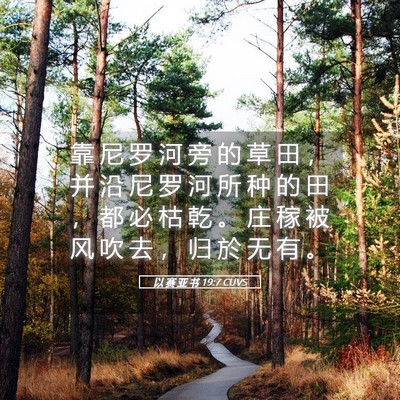 Picture 05 - 以 赛 亚 书 19:7 CUVS - 靠 尼 罗 河 旁 的 草 田 ， 并 沿 尼 - Bible Verse Picture