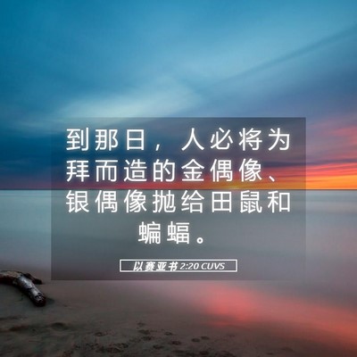 Picture 05 - 以 赛 亚 书 2:20 CUVS - 到 那 日 ， 人 必 将 为 拜 而 造 的 - Bible Verse Picture