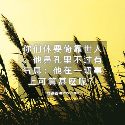 Picture 05 - 以 赛 亚 书 2:22 CUVS - 你 们 休 要 倚 靠 世 人 。 他 鼻 孔 - Bible Verse Picture