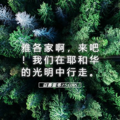 Picture 05 - 以 赛 亚 书 2:5 CUVS - 雅 各 家 啊 ， 来 吧 ！ 我 们 在 耶 - Bible Verse Picture