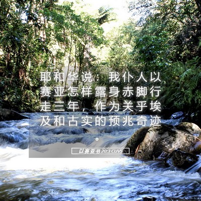 Picture 05 - 以 赛 亚 书 20:3 CUVS - 耶 和 华 说 ： 我 仆 人 以 赛 亚 怎 - Bible Verse Picture
