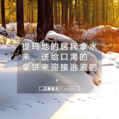 Picture 05 - 以 赛 亚 书 21:14 CUVS - 提 玛 地 的 居 民 拿 水 来 ， 送 给 - Bible Verse Picture