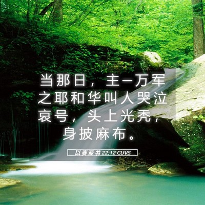 Picture 05 - 以 赛 亚 书 22:12 CUVS - 当 那 日 ， 主 ─ 万 军 之 耶 和 华 - Bible Verse Picture