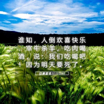 Picture 05 - 以 赛 亚 书 22:13 CUVS - 谁 知 ， 人 倒 欢 喜 快 乐 ， 宰 牛 - Bible Verse Picture